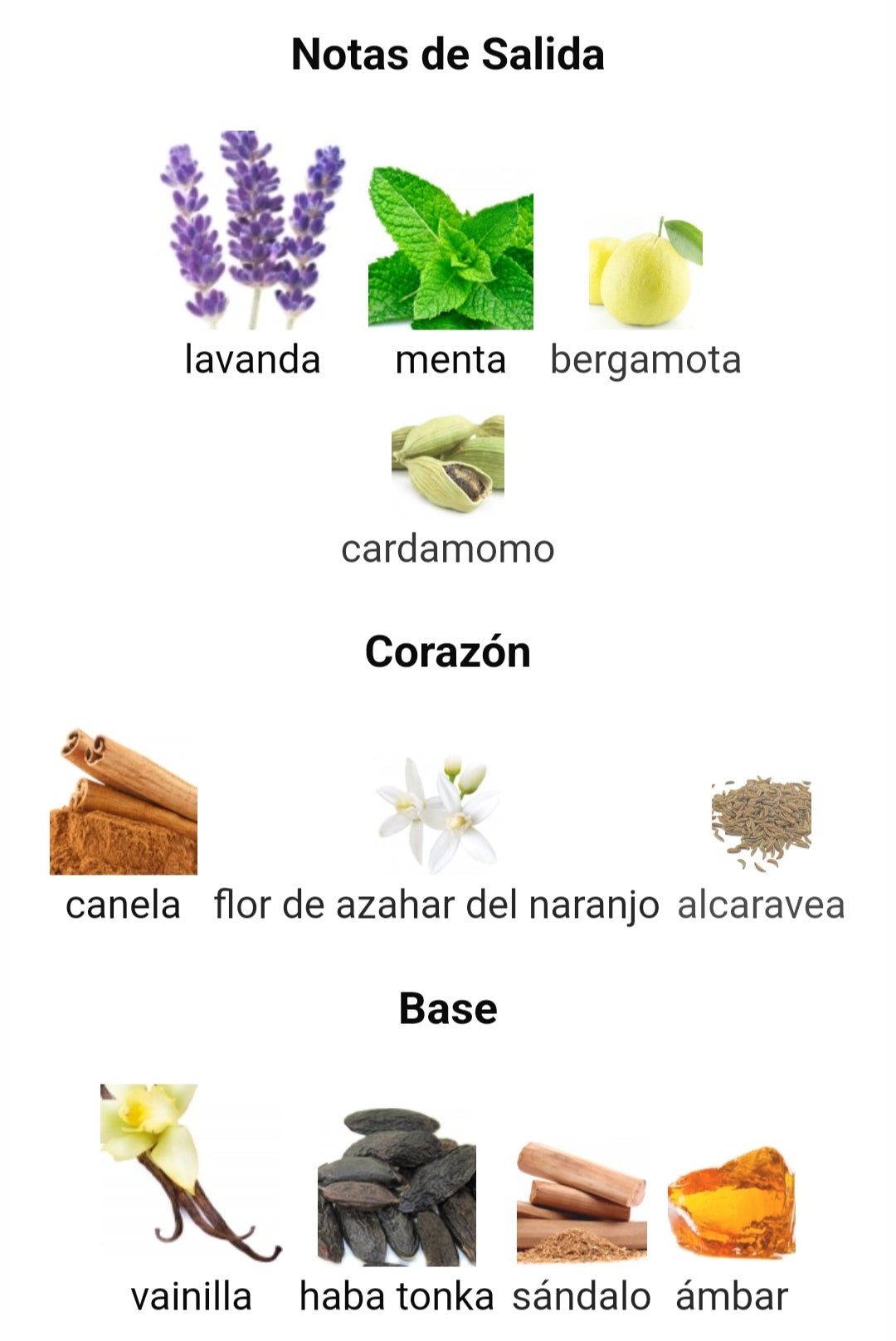 Glacier Pour Homme 100ML EDP Maison Alhambra