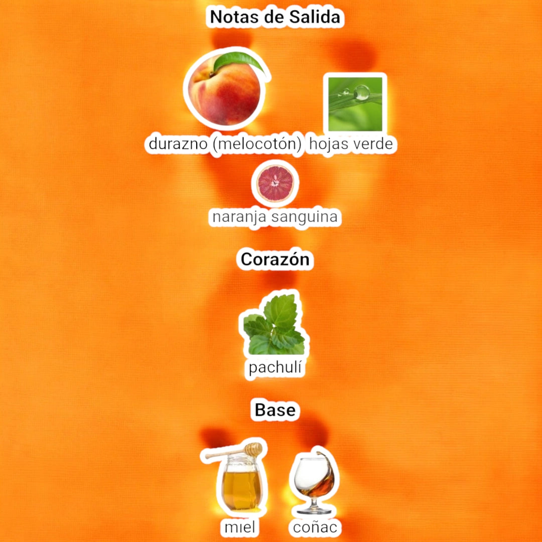 Coral Blush EDP 80 ML Maison Alhambra